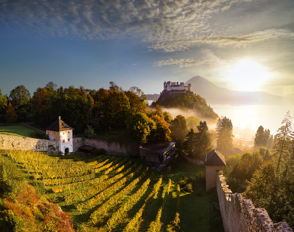 Winery, Salzburg